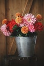 Autumn flowers bouquet. Beautiful pink and red dahlias and asters flowers in metal bucket on rustic wooden background. Fresh Royalty Free Stock Photo