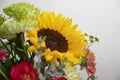 Autumn flowers, bouquet from gerber and sunflowers, neutral warm background Royalty Free Stock Photo