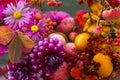 Autumn flowers closeup background, fall flowers bouquet with dahlia