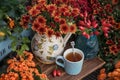 Autumn flowers with cup of tea