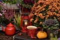 Autumn flowers with cup of tea Royalty Free Stock Photo