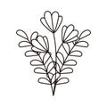 Autumn flowers foliage leaves isolated icon line style