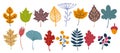 Autumn flowers. Hand drawn doodle fall. Nature plant foliage. Colorful leaves and herbs. Modern forest berry. Isolated