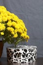 Autumn flowers in a pot. Yellow Chrysanthemum. Next gift in a cardboard box with an ornament. On a gray background. Royalty Free Stock Photo