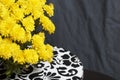 Autumn flowers in a pot. Yellow Chrysanthemum. Next gift in a cardboard box with an ornament. On a gray background. Royalty Free Stock Photo