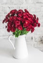 Autumn flowers red chrysanthemums in a white jug on a light background Royalty Free Stock Photo