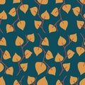 Autumn flowers seamless pattern. Physalis alkekengi winer cherry branch silhouettes botanical background. Simple design for wall