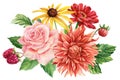 Autumn flowers. Sunflower, rose, dahlia, zinnia and leaves. Hand painted illustration. Watercolor drawing Royalty Free Stock Photo