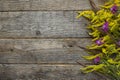 Autumn flowers on wooden rustic background. Copy space Royalty Free Stock Photo
