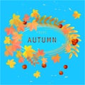 Autumn flyer with maple, rowan foliage on blue background