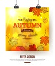 Autumn flyer with shining foliage