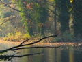 Autumn fog at Charlottenburg, Berlin, Germany Royalty Free Stock Photo