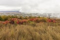 Autumn fog over the city