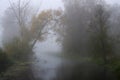 Autumn fog on the river