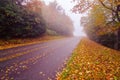 Autumn foggy day along blue ridge parkway