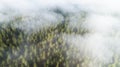 Autumn Foggy Forest With Colorful Trees In Mist Clouds Aerial View. Nature Landscape Of Woodland In Fog Royalty Free Stock Photo