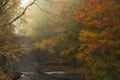 autumn foggy landscape. An ancient stone bridge over a river and yellow trees Royalty Free Stock Photo