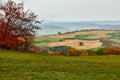 Autumn foggy landscape, hunters bryony in the foreground Royalty Free Stock Photo