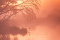 Autumn foggy rural sunrise. Sunny dawn on river Royalty Free Stock Photo