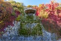 Autumn foilage on Gellert mountain in Budapest, Hungary Royalty Free Stock Photo