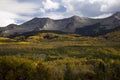 Autumn foilage near Crested Butte Colorado on Kebler Pass Rd. Royalty Free Stock Photo