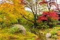 Autumn foilage in Tenryu-Ji, Arashiyama Royalty Free Stock Photo