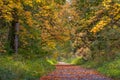 Autumn Foliage Along The White Horse Trail