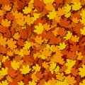 Autumn foliage background Royalty Free Stock Photo