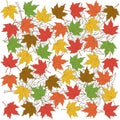 Autumn foliage background