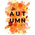 Autumn foliage banner