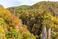 Autumn foliage on the cliff Royalty Free Stock Photo