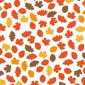 Autumn Foliage