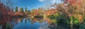 Autumn foliage at Eikando Temple