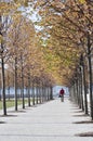 Autumn foliage, Fall colors in Four Freedoms Park, New York City Royalty Free Stock Photo