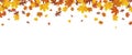 Autumn Foliage Fall Header