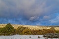 Autumn foliage with frosty trees in the background on a blustery afternoon near McArthur, California, USA Royalty Free Stock Photo