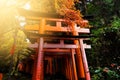 autumn foliage in Fushimi Inari Shrine, Kyoto Royalty Free Stock Photo