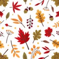 Autumn foliage hand drawn vector seamless pattern. Different tree leaves and berries decorative texture. Fall season