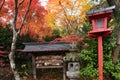 Autumn foliage in Japan - colorful japanese maple leaves during momiji season Royalty Free Stock Photo