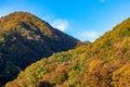 Autumn foliage in Japan