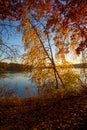 Autumn foliage on the lake