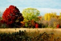 Autumn foliage: large trees.