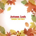 Autumn foliage leafs frame Royalty Free Stock Photo