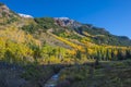 Autumn Foliage Maroon Creek near Maroon Bells Royalty Free Stock Photo