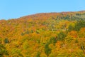 Autumn foliage of Mt.Hachimantai