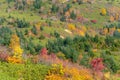 Autumn foliage of Mt. Hachimantai