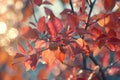 Autumn foliage, nature photography, leaf texture Royalty Free Stock Photo