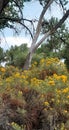 Autumn foliage near Lake in Fort Collins,Colorado