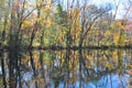 Autumn foliage: new jersey canal trail Royalty Free Stock Photo