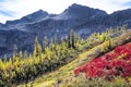 North Cascades National Park Royalty Free Stock Photo